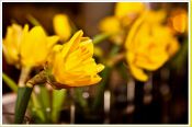img_6804.jpg
