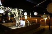 small IMG_0183.JPG