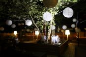 small IMG_0185.JPG